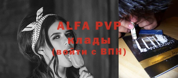 прущие грибы Верхний Тагил