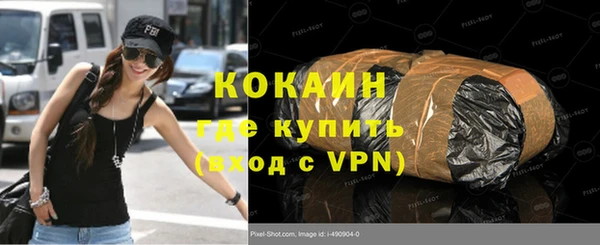 прущие грибы Верхний Тагил