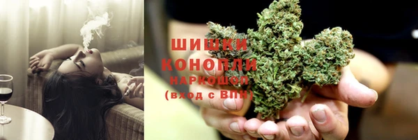прущие грибы Верхний Тагил