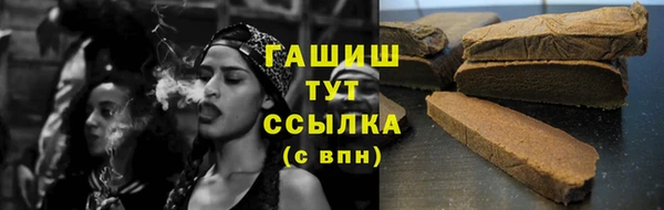 прущие грибы Верхний Тагил