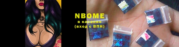 прущие грибы Верхний Тагил