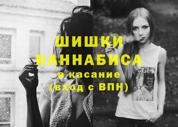прущие грибы Верхний Тагил
