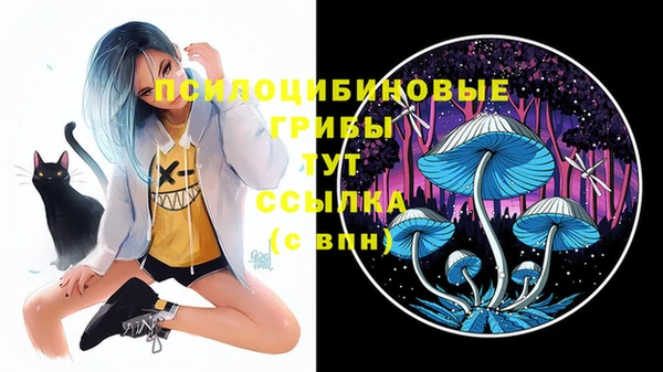 гидропоника Верея