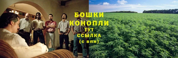 винт Тавда