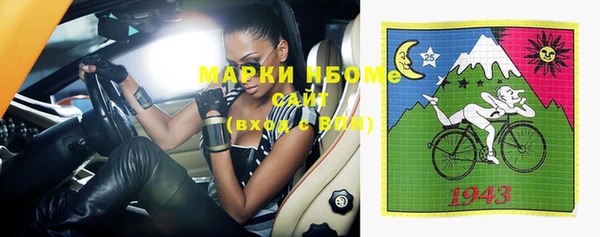 прущие грибы Верхний Тагил