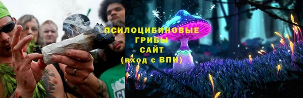 прущие грибы Верхний Тагил
